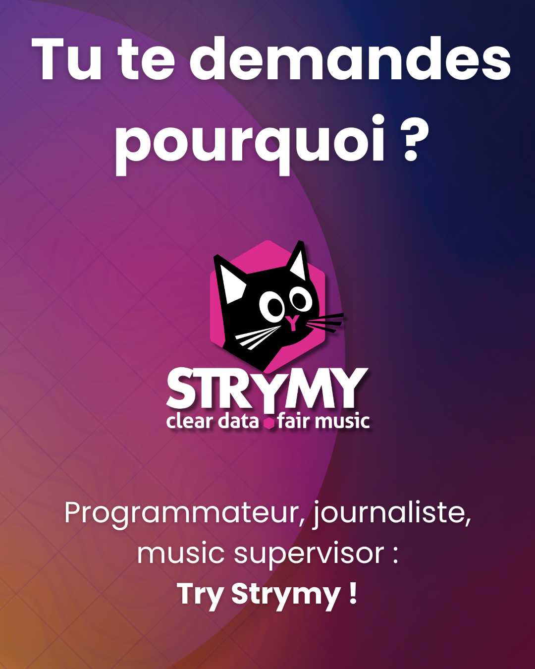 Programmateur, journaliste, music supervisor : Try Strymy